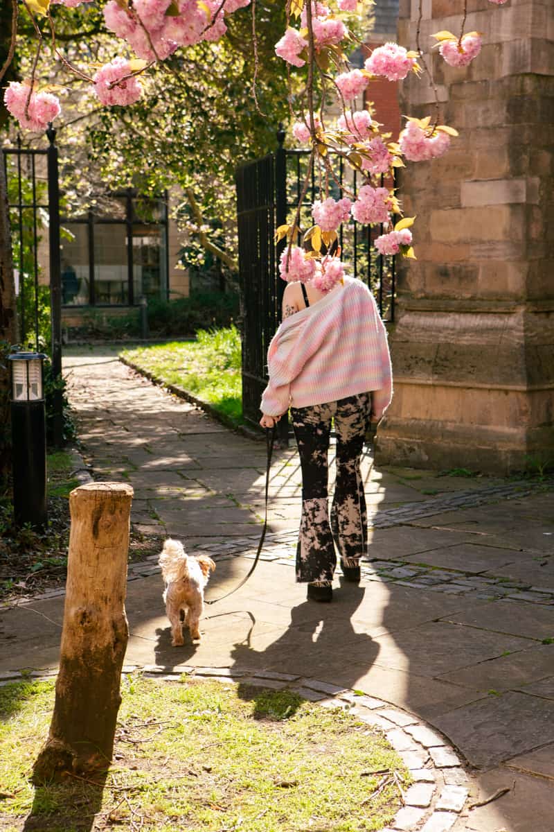 Nottingham image 1